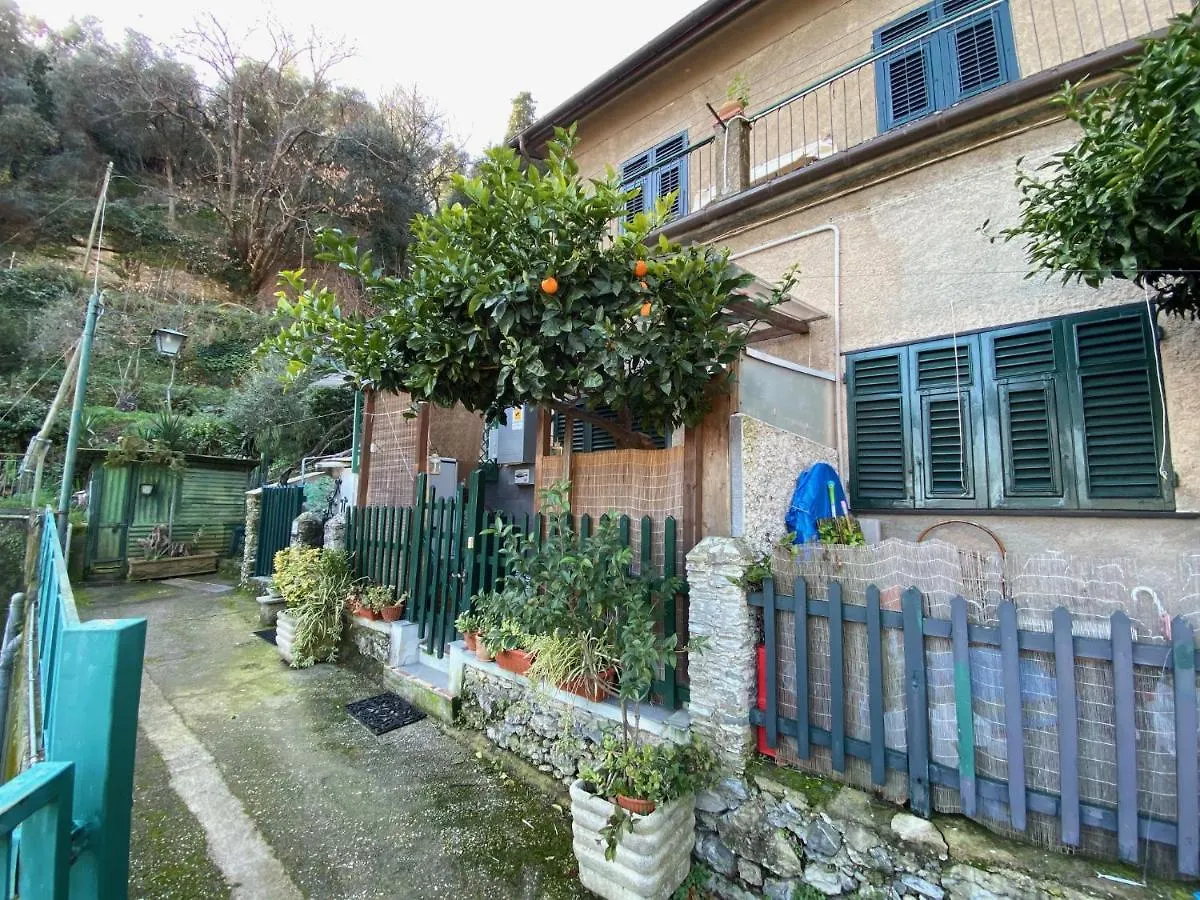 Portofino - 